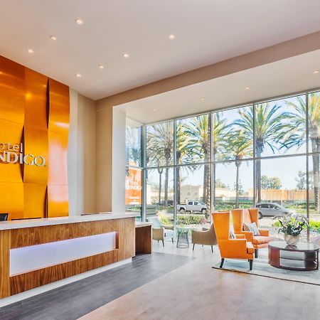 Hotel Indigo Anaheim By Ihg Экстерьер фото