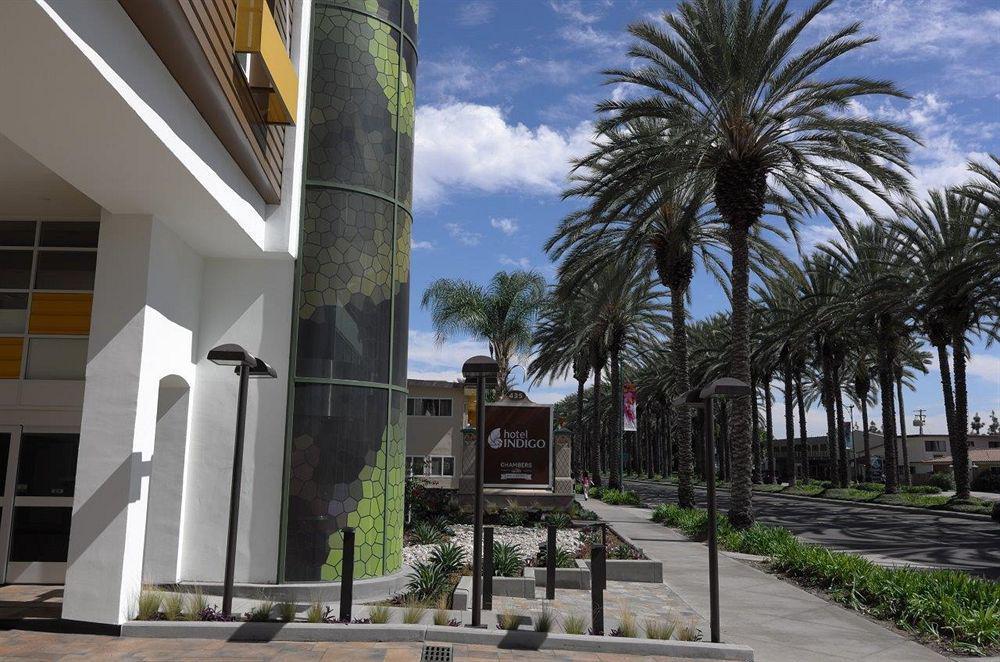 Hotel Indigo Anaheim By Ihg Экстерьер фото