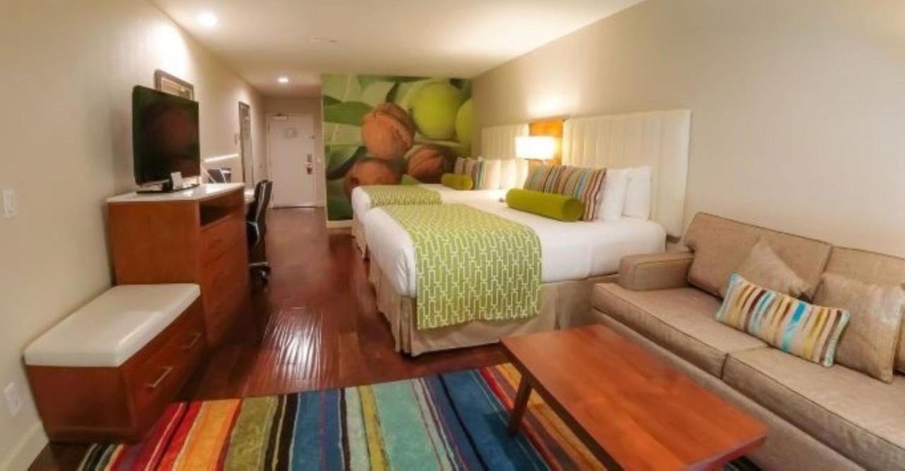 Hotel Indigo Anaheim By Ihg Экстерьер фото